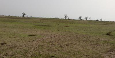 Terrain Agricole de 5,30 hectares à Nguéniéne