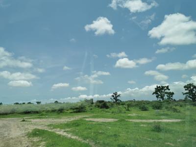 LOT De Terrains (PAS CHERS) 150 M2 Keur Ndiaye Lo