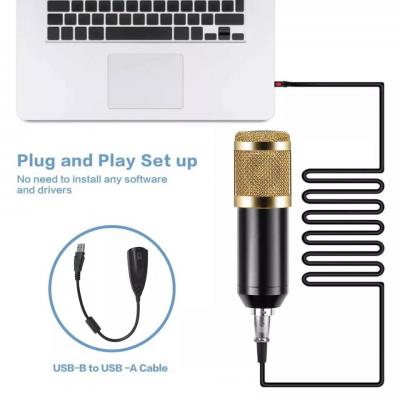 Kit Micro Professionnel  avec Carte Son USB Intég