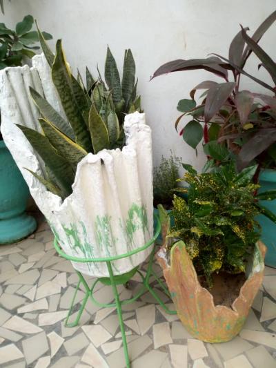 Pots de fleurs artistiques et plantes