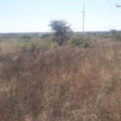 Terrain Agricole de 2,97 hectares à Taïba Ndiaye