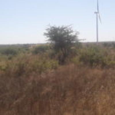 Terrain Agricole de 2,97 hectares à Taïba Ndiaye