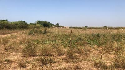 Terrain agricole 1,800 hectares mbour