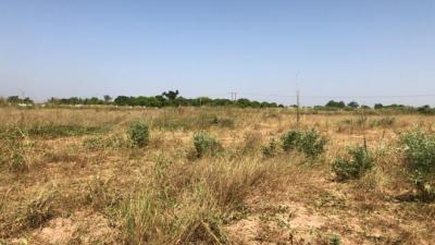 Terrain agricole 1,800 hectares mbour