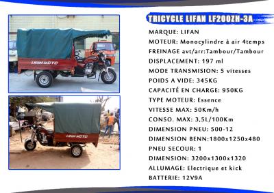 Tricycle Lifan LF200ZH