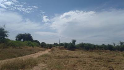Terrain 1 hectare a Nguerigne Mbambara