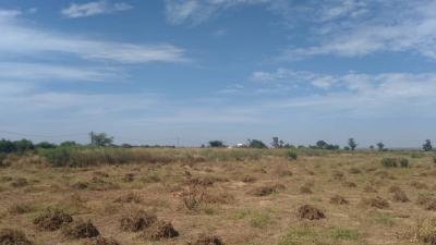 Terrain 1 hectare a Nguerigne Mbambara