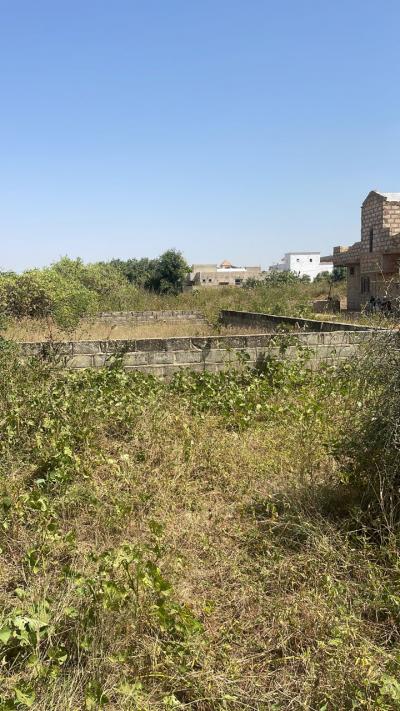 terrain de 300 metres carres a saly