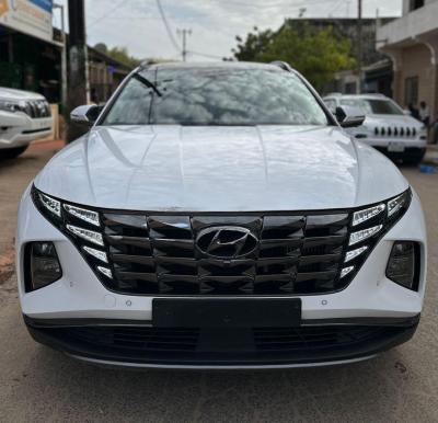 Hyundai Tucson 2021 VENANT