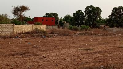 Terrain de 1000 mètres carrés à vendre à Ngué