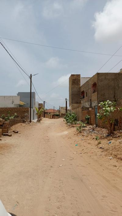 Terrain de 300 mètres carrés à vendre à Saly S