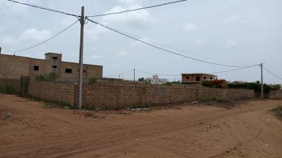 Terrain de 1200 mètres carrés à vendre à Saly 