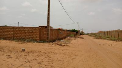 Terrain de 1200 mètres carrés à vendre à Saly 