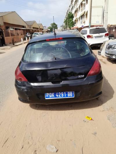 WANTER PEUGEOT 308 2010