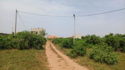 Terrain 300 mètres carrés à vendre à Saly Sén