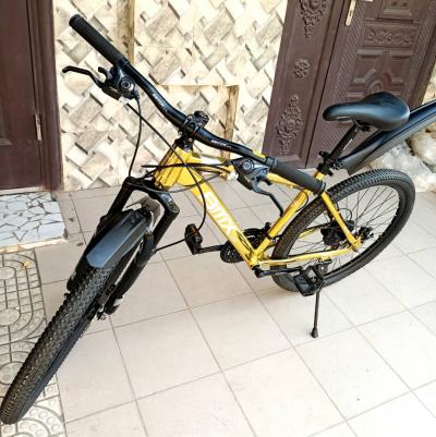 VÉLOS VTT SPEED BMX GTR 