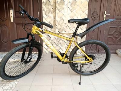 VÉLOS VTT SPEED BMX GTR 