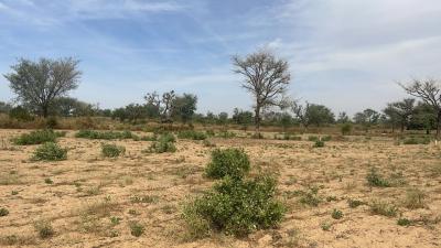 Terrains300 mètres carrés à vendre à Malicound