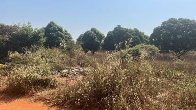 Terrains 300 mètres carrés à vendre à Warang S