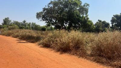 Terrain 300 mètres carrés à vendre à Waran Sé