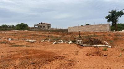 Terrains de 150 mètres carrés à vendre à Touba