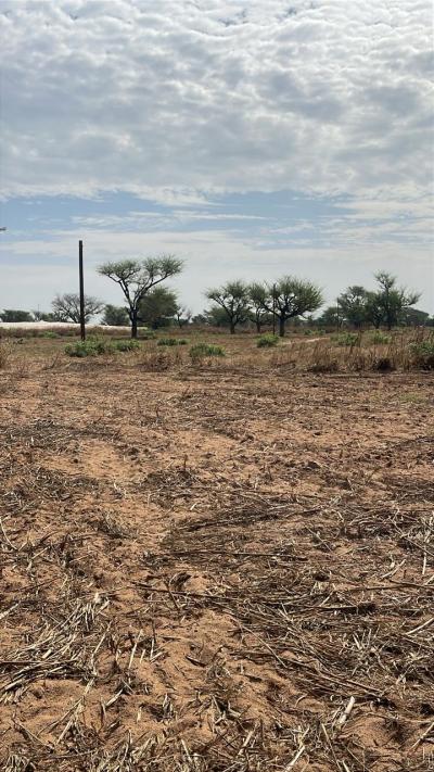 Terrains 300 mètres carrés à vendre à Malicoun