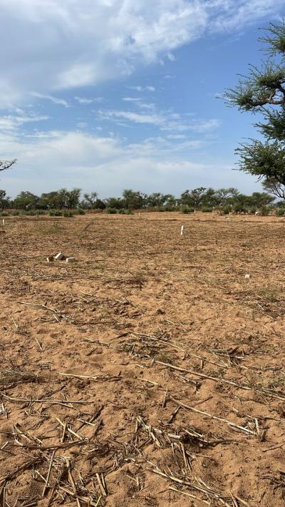 Terrains 300 mètres carrés à vendre à Malicoun