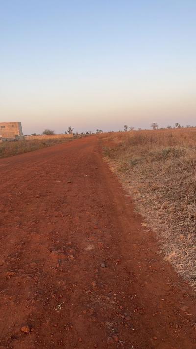 Champ de 3 hectares à vendre à Mbodiène Sénég