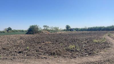 Champ de 2 hectares  à vendre à Mbodiène Séné