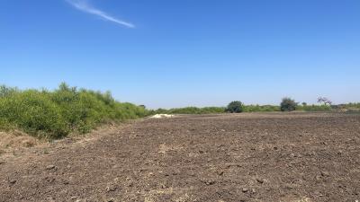 Champ de 2 hectares  à vendre à Mbodiène Séné