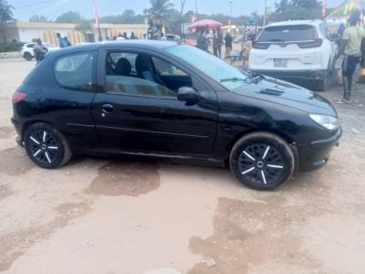 WANTER PEUGEOT 206