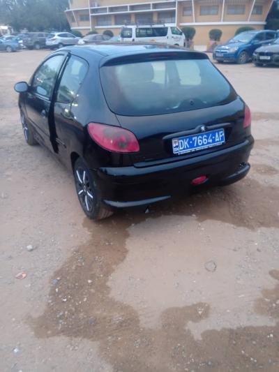 WANTER PEUGEOT 206