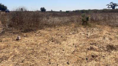 Lotissement à Ndayane Sénégal