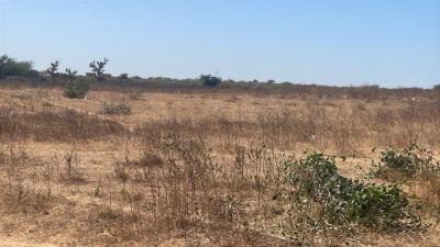 Lotissement à Ndayane Sénégal