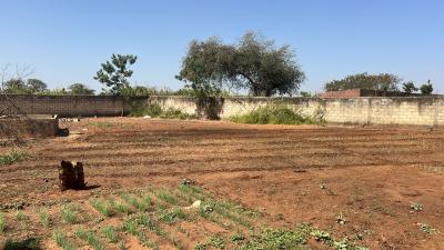 Terrain 1500 mètres carrés à vendre à Nguérig