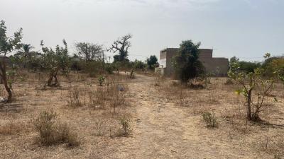 Terrains300 mètres carrés à vendre à Mbodiène