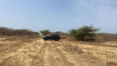 Terrains 300 mètres carrés à vendre à Ndayane 