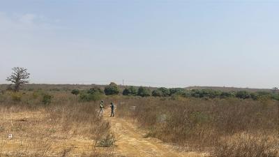 Terrains 300 mètres carrés à vendre à Ndayane 