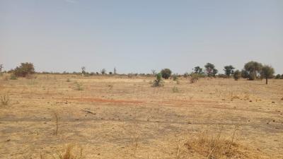 Terrain 1 hectare à vendre à Sandiara Sénégal