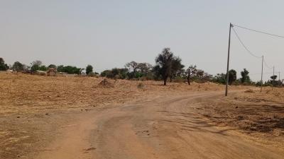 Terrain 1 hectare à vendre à Sandiara Sénégal