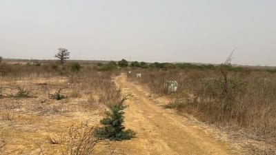 Terrain 200 mètres carrés à vendre à Ndayane S