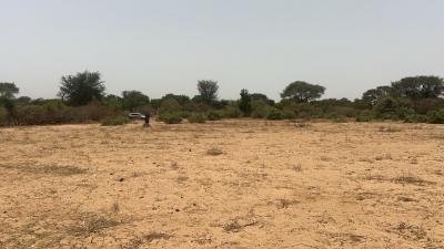 Terrains 225 mètres carrés à vendre à Malicoun