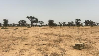 Terrains 225 mètres carrés à vendre à Malicoun