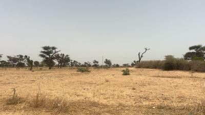 Terrains 225 mètres carrés à vendre à Malicoun