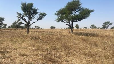 Lotissement terrain Malicounda takhoum extension