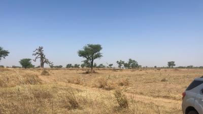 Lotissement terrain Malicounda takhoum extension