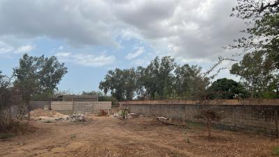 Terrains 300 mètres carrés à vendre à Saly Sé