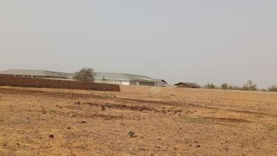 Terrains agricoles de 8 hectares à vendre à Loul