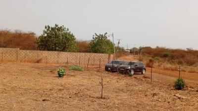 Terrains agricoles de 8 hectares à vendre à Loul