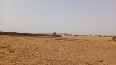 Terrains agricoles de 8 hectares à vendre à Loul